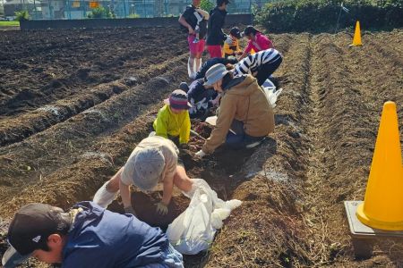 LINE_ALBUM_令和6年11月4日 さつまいも掘り🍠_241104_6.jpg