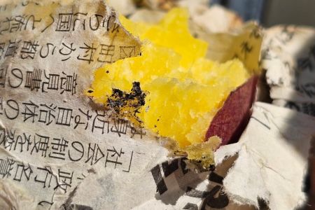 LINE_ALBUM_令和6年11月4日 さつまいも掘り🍠_241104_15.jpg